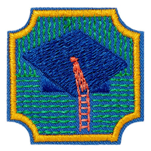 Ambassador College Knowledge Badge | Girl Scouts of Southern Illinois